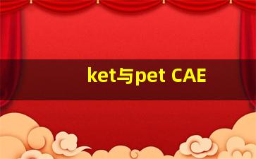 ket与pet CAE